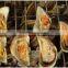 china High quality hand stainless steel barbecue bbq grill wire mesh net