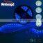 12V 5M 5050 SMD Waterproof Flexible 60led/m Blue LED Strip Light