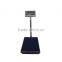 30Kg To 1000Kg Electronic Digital Weighing Platform Scale