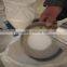 vetrosa, transparent vetrosa, low temperature third-firing transparent vetrosa