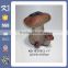 High-quality ceramic mushroom for sale