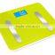 180kg Dody Fat Scale With Popular Design