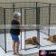 Galvanized Wire Dog Kennels , Black Powder Coated Welded Wire Panel Outdoor Modular Dog Kennel