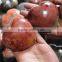 wholesale natural ocean jasper crystal hearts for gift