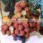 Natural beautiful agalmatolite stone Lychee Tree