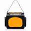 2015 New Summer Cooler Product Polyester Material Insulated fashionable Cooler Bag made in China factory