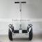 New Model Self Balance Electric 2 Wheel Scooter Wind Rover F5