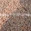 2015 new speckled kidney beans with good quality