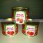 Made In China Canned Sachet tomato paste/ketchup fresh tomato manfacturer factory