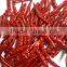 Best Quality Indian Red Chilli Exporters