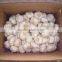 Wholesale  Normal White Garlic in Great Price