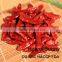 With ISO9001 HACCP OU BRC Red Chily