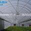 8m/9m/10m Single Span Tunnel Greenhouse For Sale