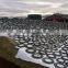 Silage cover(green/black, green/yellow color silo sheeting)
