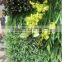 Exterior fake backdrop green plants wall for home or hotel decoration