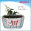Hot selling decorative cement balcony plant pot