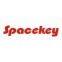 Spacekey Auto Electronics Co., Ltd