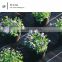 Cheap plastic mulch anti weed glass pe mat  for agriclturalor garden cover