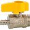 ball valve inside