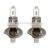 Wholesale H1 12v 55w Automobile Bulb Car Halogen Headlamp High Brightness Headlamp Blub
