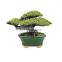 Indoor Garden Outdoor Glazed Ceramic Bonsai  Succulents Pot Decorative Planter for Dwarf Trees Small Plants Green Oval Container