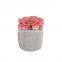 wholesale mini home decoration plastic fake desk pot artificial succulent plants