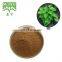 Aster Scaber Extract Powder , Doellingeria scaber P.E.