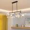 Modern Nordic Firefly Glass Chandelier Black Long Indoor Art Decor Bar Kitchen Living Room Decor Restaurant Pendant Lamp