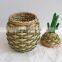 Hot Sale Wicker Apple Rattan Storage Basket, Rattan Cute Storage Kids Toys Basket Wholesale Supplier