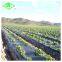 High quality blow molding plastic agricultural mulch film manufacturer