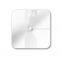 Strength factory manufacturers smart Bluetooth body fat scale household weight scale custom logo brand health electronic body scale