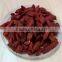 High Quality Goji Berry Tea