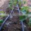 50m/min Inline Drip Irrigation Pipe Making Machine with round drippers