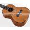 Made in China music instruments tenor all solid ukulele with ukulele bag