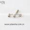 non standard stainless steel screws