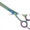 SALON PROFESSIONAL 6inch Hair Thinning Scissors