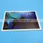 Greeting card printing, poster card printing service