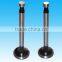 Top quality single cylinder diesel engine spare parts valves