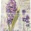 A5 cloth cover with 4c printing students notebooks diaries