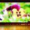 World famous products p10 full color indoor led display