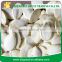 Supply Roasted Salted Snow White Pumpkin Kernels inshell with high quality