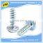 manufacturer nonstandard high quality metal phillips screw