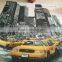 3D digita transfer print 100% cotton bedding set for Kids & Adults