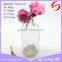 Set of glass aroma diffuser bottle