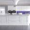 Ritz best sell glass front kitchen cabinet doors