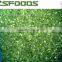 IQF Frozen Leek Chinese chive for sale