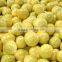 Chinese Fresh Honey Pomelo from Factory