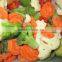 blended frozen bulk manufacturer fruits and vegetables model