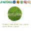 green bean coffee extract Chlorogenic acid ISO, GMP, HACCP, KOSHER, HALAL certificated.