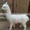 Popular Garden Decor Lifelike Alpaca Toys Wholesale Peru